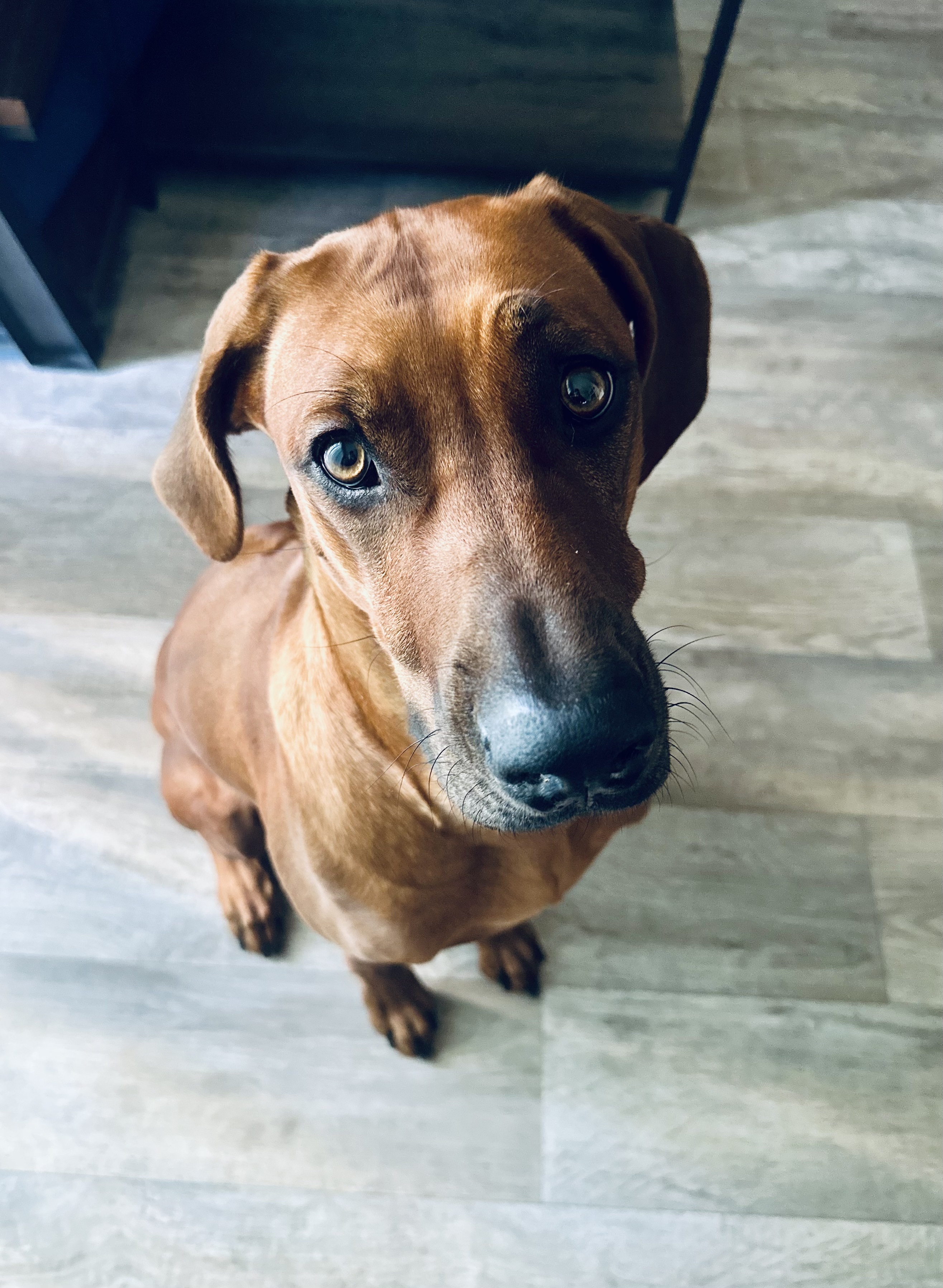 Ruby Looking Up